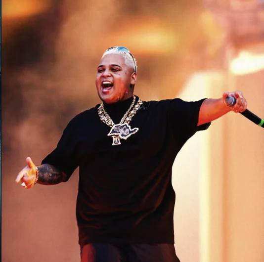 MC Ryan SP no palco
